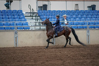 2019 Morgan Horse Show - Sept 01, 2019 - 12752