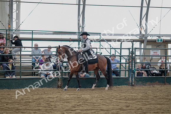 July 21, 2019 - 06562