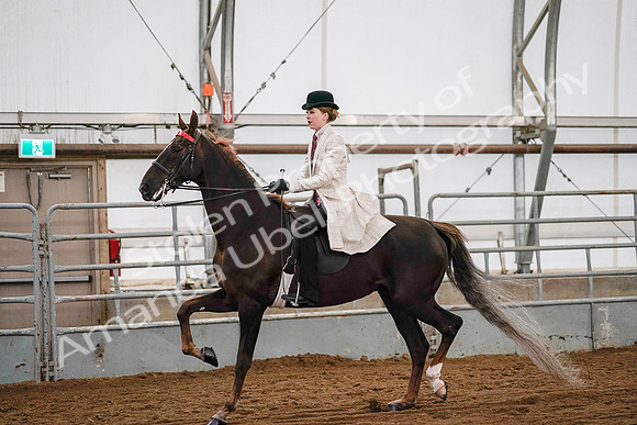 July 19, 2019 - 8991