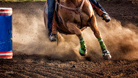 rodeo - 041