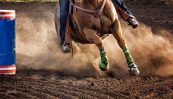 rodeo - 041