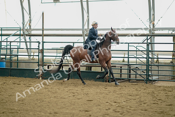 July 21, 2019 - 01716