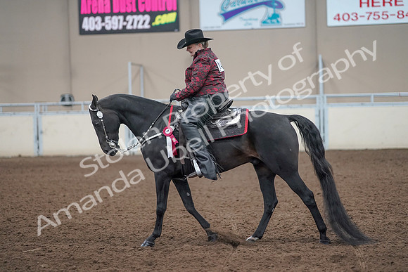 2019 Morgan Horse Show - Aug 31, 2019 - 10822