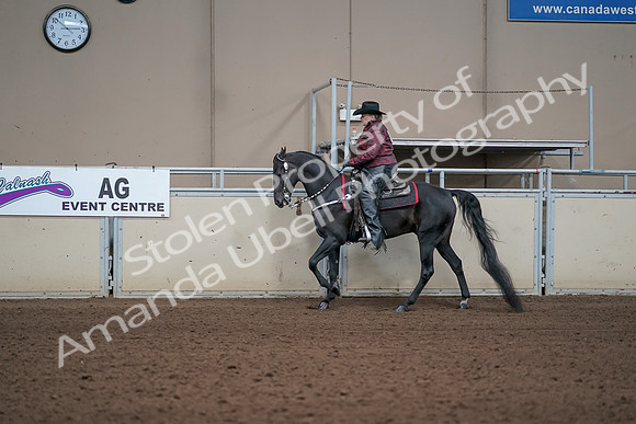 2019 Morgan Horse Show - Aug 31, 2019 - 10616