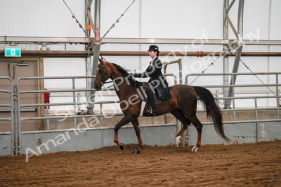 July 19, 2019 - 8784