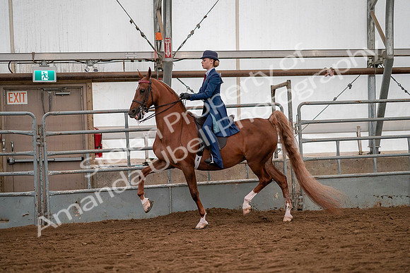 July 19, 2019 - 10236