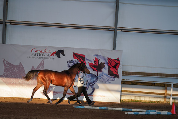 2022 - CNAC - Sept 27 - 00258