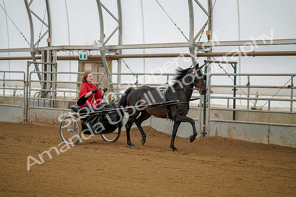 July 20, 2019 - 00181