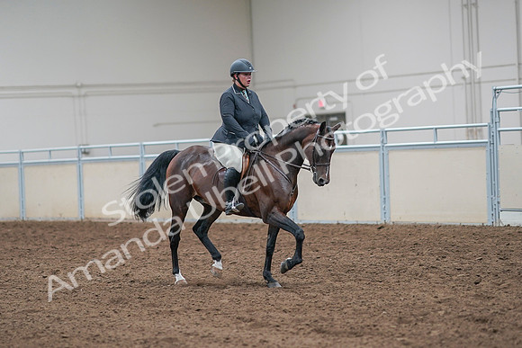 2020 - AB Morgan Horse - Sat, Sept 05 - 09345