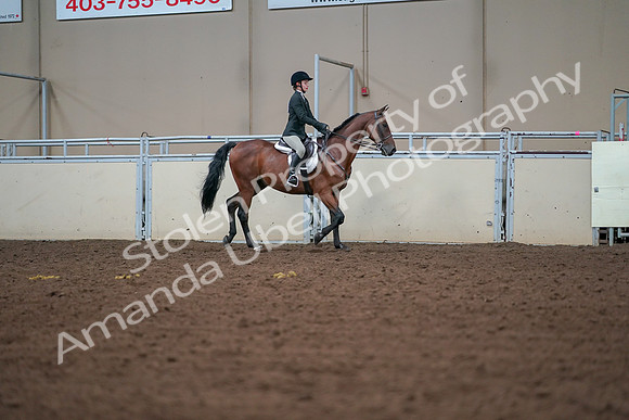 2019 Morgan Horse Show - Aug 30, 2019 - 20845