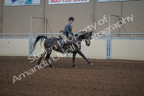 2019 Morgan Horse Show - Sept 01, 2019 - 11113