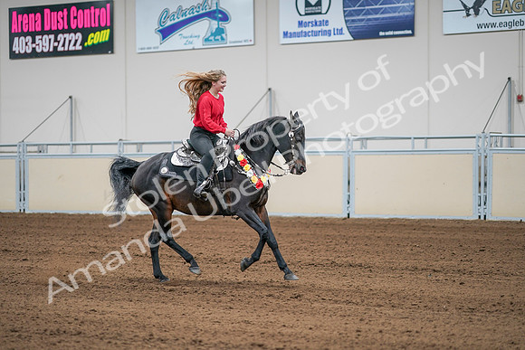 2020 - AB Morgan Horse - Sat, Sept 05 - 10551