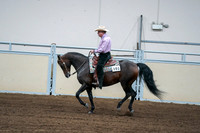 2020 - AB Morgan Horse - Fri, Sept 04 - 00547