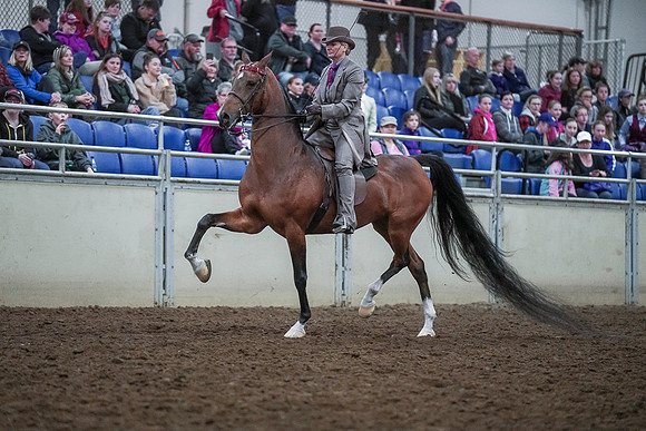 Spring Fling - Saturday - April 20, 2019  -  00490