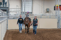 2020 - AB Morgan Horse - Sat, Sept 05 - 10063