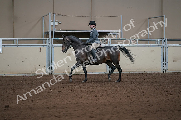2019 Morgan Horse Show - Sept 01, 2019 - 10915_1