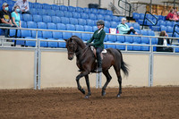 2020 - AB Morgan Horse - Fri, Sept 04 - 03936