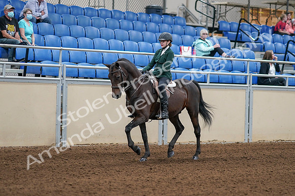 2020 - AB Morgan Horse - Fri, Sept 04 - 03936