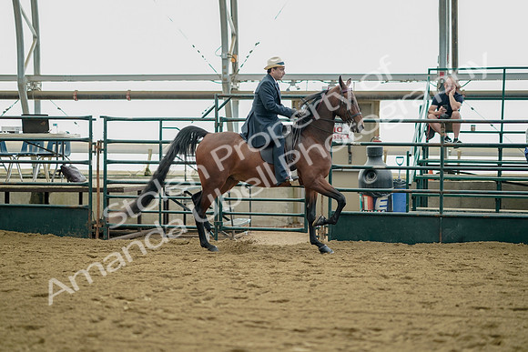 July 21, 2019 - 01730