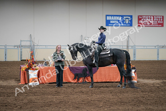 2020 - AB Morgan Horse - Sun, Sept 06 - 07632