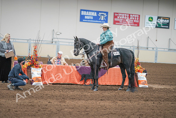 2020 - AB Morgan Horse - Sun, Sept 06 - 01662