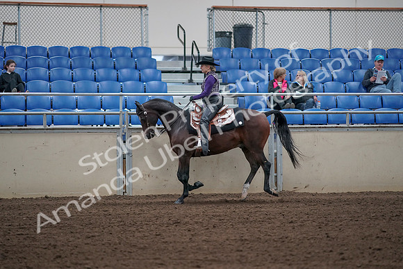 2019 Morgan Horse Show - Aug 31, 2019 - 10634