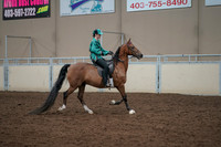 2019 Morgan Horse Show - Aug 30, 2019 - 30635