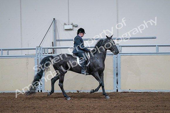 2020 - AB Morgan Horse - Fri, Sept 04 - 01827