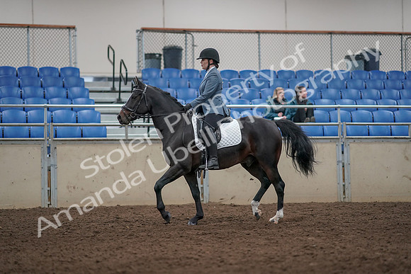 2019 Morgan Horse Show - Aug 31, 2019 - 07249