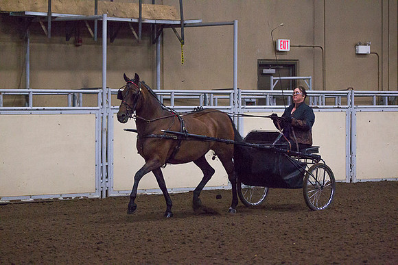 _P3A3921