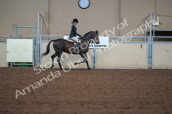2019 Morgan Horse Show - Aug 30, 2019 - 20818