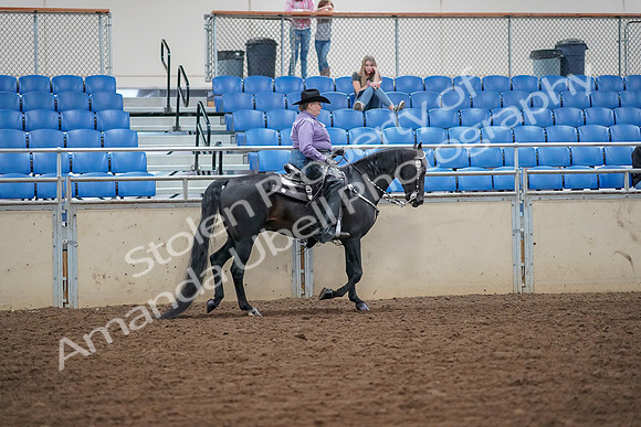 2019 Morgan Horse Show - Aug 30, 2019 - 17063