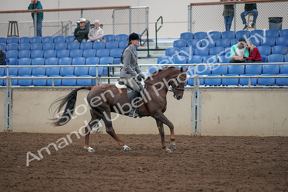 2019 Morgan Horse Show - Aug 31, 2019 - 07498