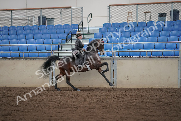 2019 Morgan Horse Show - Aug 30, 2019 - 28153