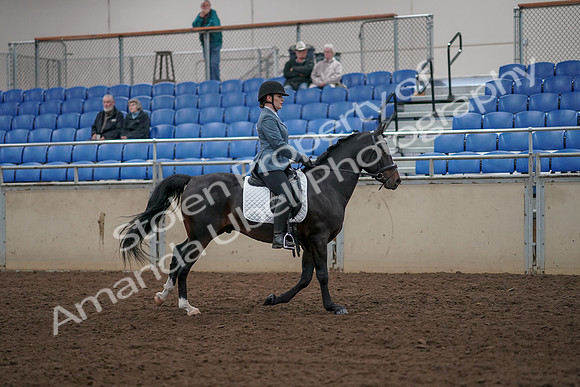 2019 Morgan Horse Show - Aug 31, 2019 - 07504