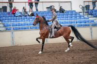 2019 Morgan Horse Show - Aug 31, 2019 - 21960