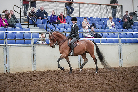 Spring Fling - Saturday - April 20, 2019  -  03776