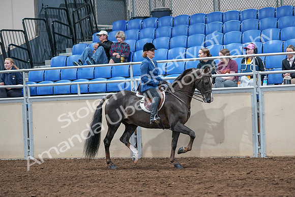 2020 - AB Morgan Horse - Sat, Sept 05 - 05085