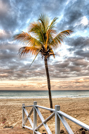 Jamaica - 023
