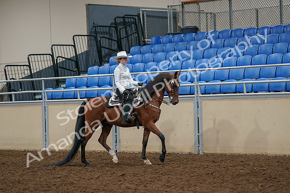 2020 - AB Morgan Horse - Fri, Sept 04 - 03517