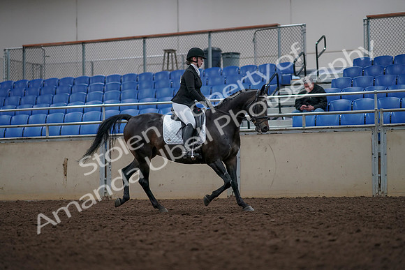 2019 Morgan Horse Show - Aug 31, 2019 - 16718