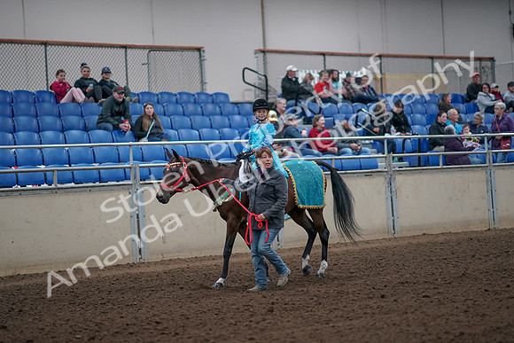 2019 Morgan Horse Show - Aug 31, 2019 - 09943