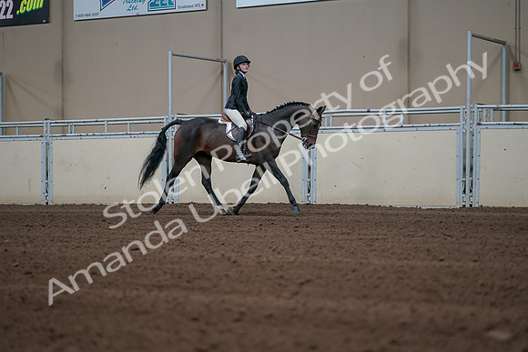 2019 Morgan Horse Show - Sept 01, 2019 - 03840