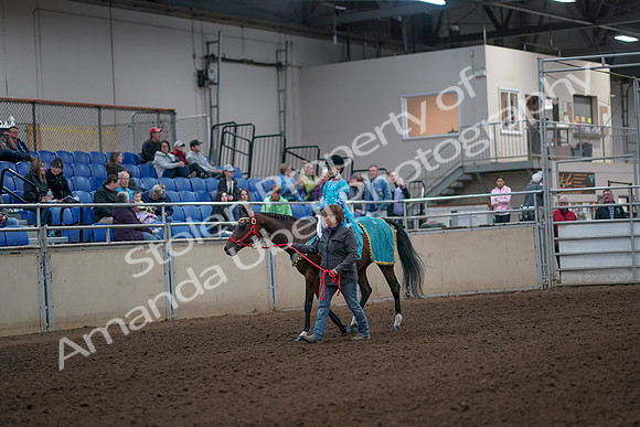 2019 Morgan Horse Show - Aug 31, 2019 - 09923