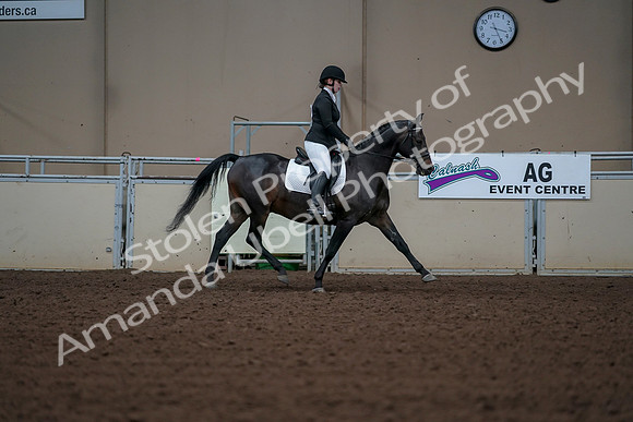 2019 Morgan Horse Show - Aug 30, 2019 - 18541