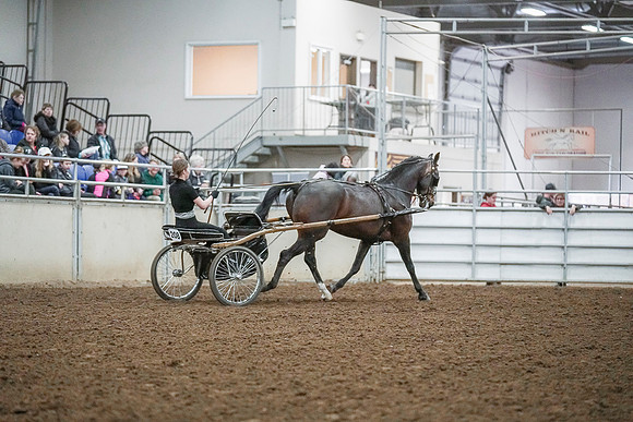 Spring Fling - Saturday - April 20, 2019  -  00286