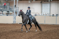 2020 - AB Morgan Horse - Sun, Sept 06 - 08284