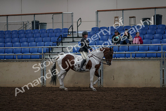 2019 Morgan Horse Show - Aug 30, 2019 - 31400