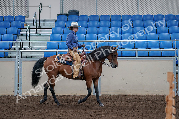 2020 - AB Morgan Horse - Fri, Sept 04 - 00204