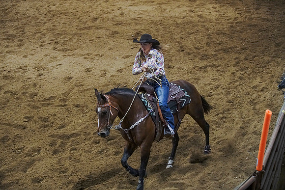 DSC01098